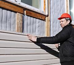 Best Engineered Wood Siding  in Dagsboro, DE